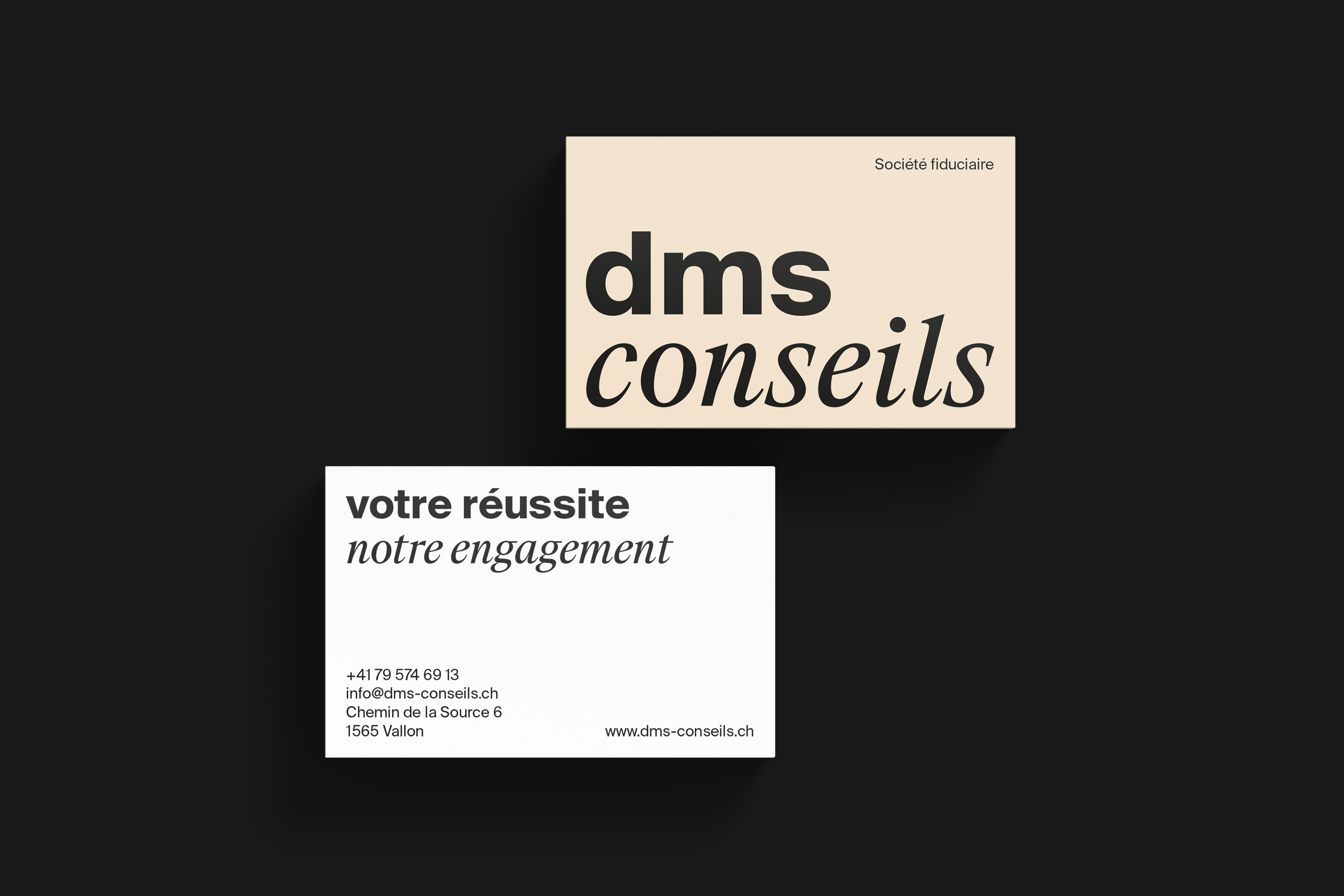Carte de visite de DMS Conseils.