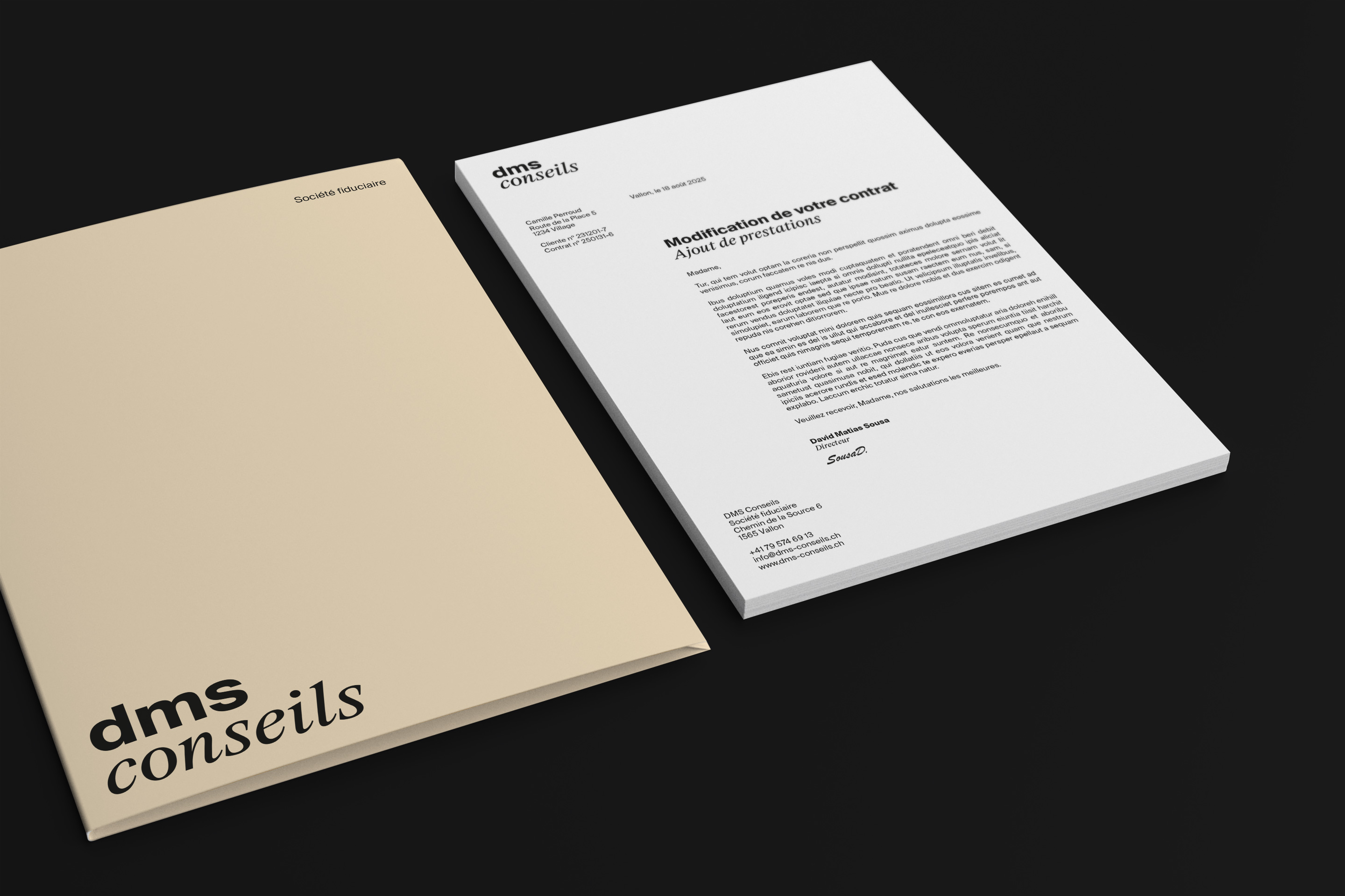 Entête de lettre de DMS Conseils.