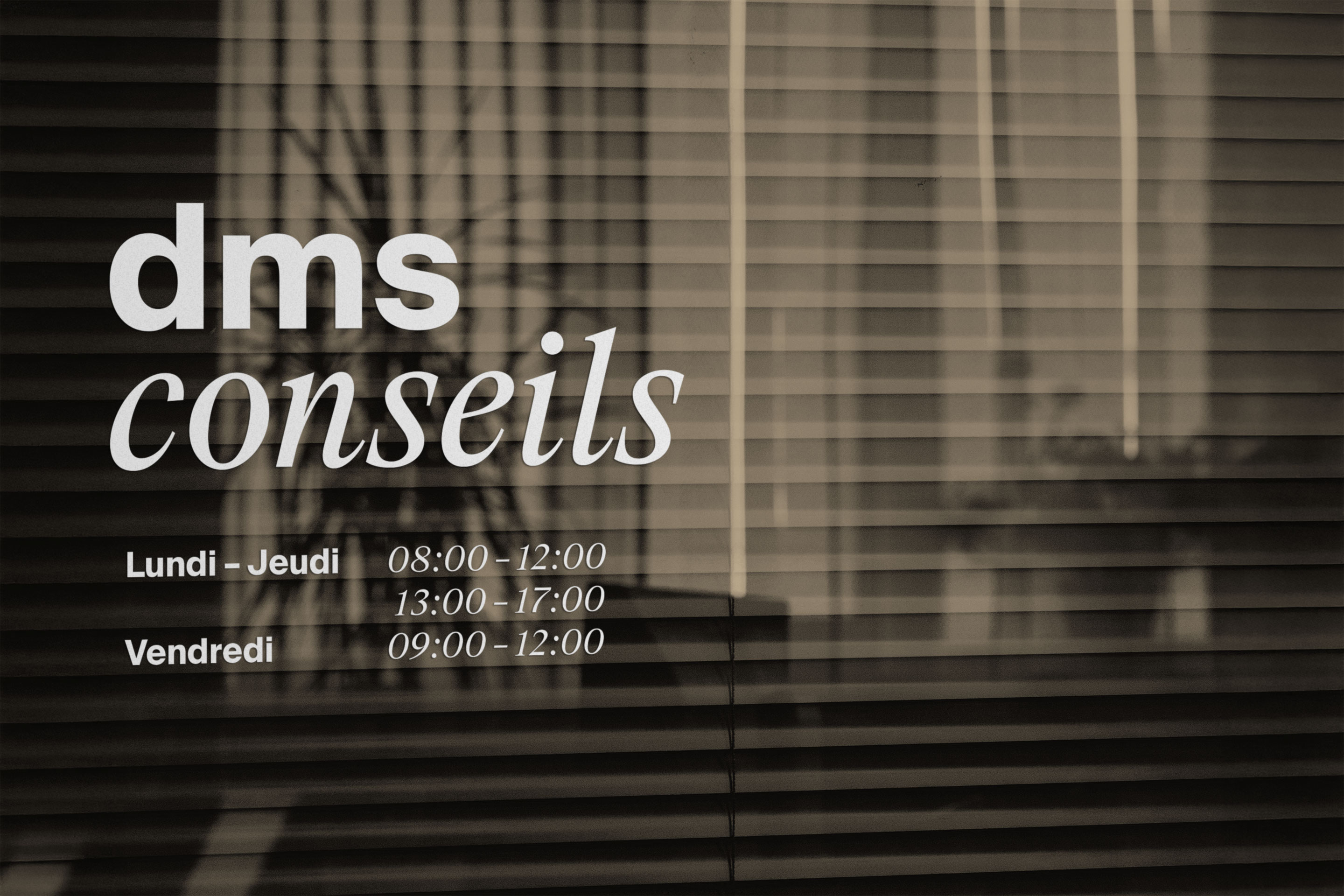 Vitrine de DMS Conseils.