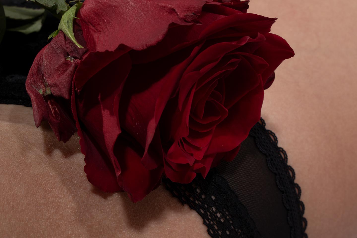 Gros plan sur une rose rouge posée sur une hanche.