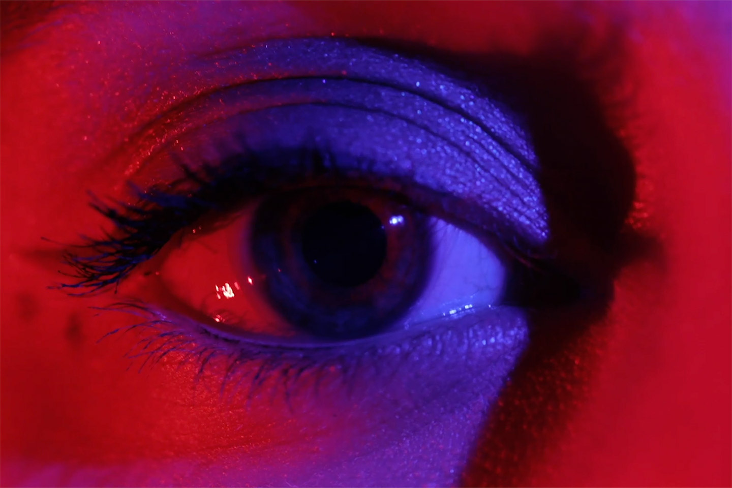 Très gros plan sur un oeil dans un éclairage rouge et bleu.